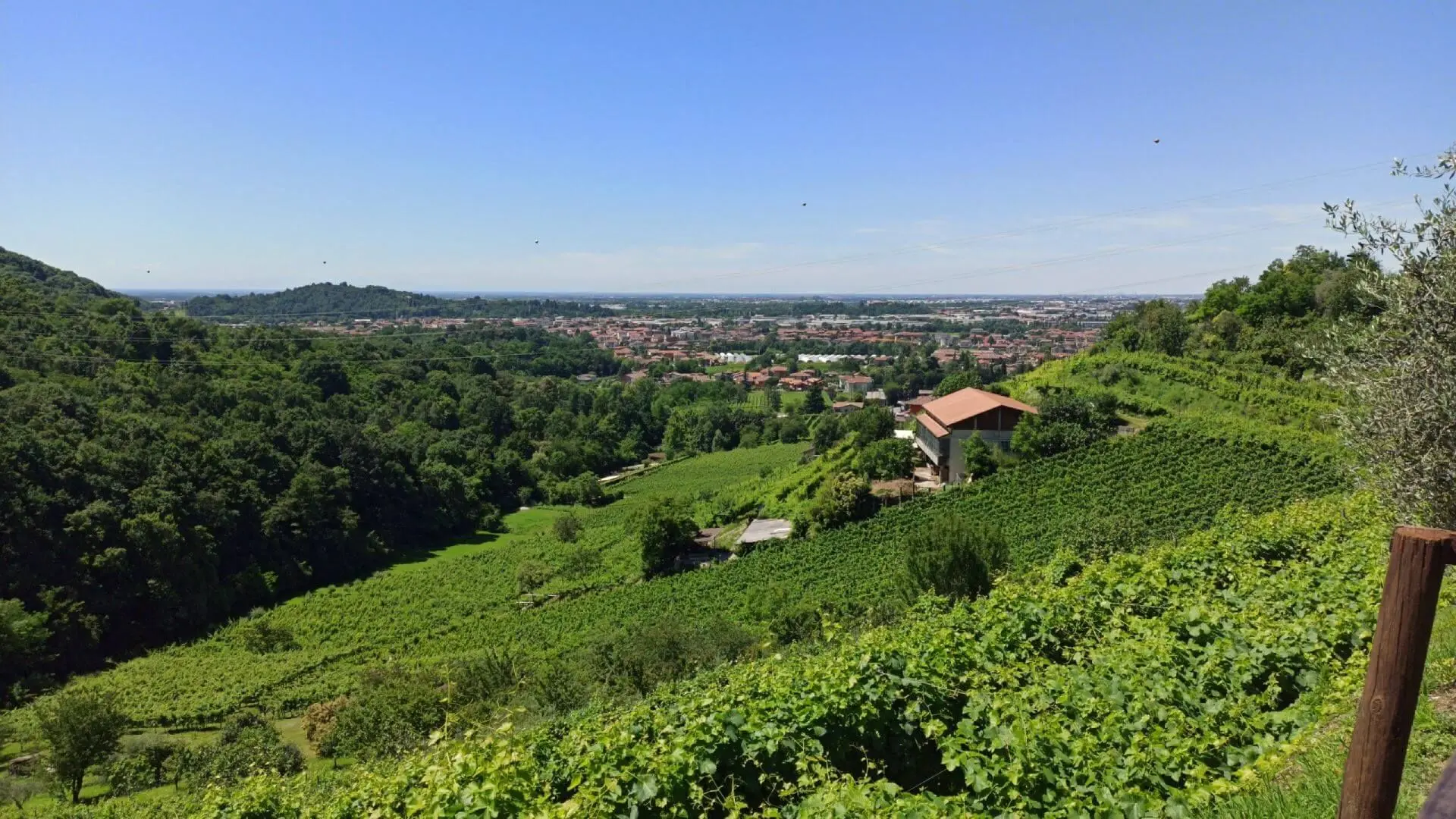 I filari sul colle, un casale fra le vigne e la pianura di Bergamo sullo sfondo